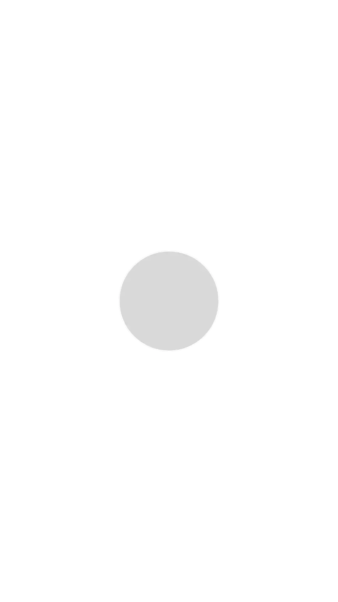Silbergrau   E6 E1